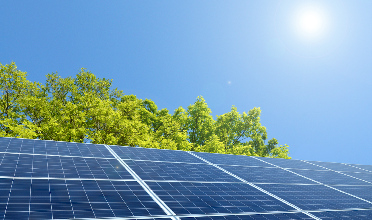 Solar panel manufacturing business  