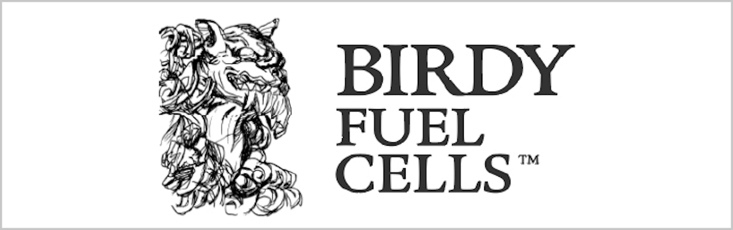 Birdy Fuel Cells LLC